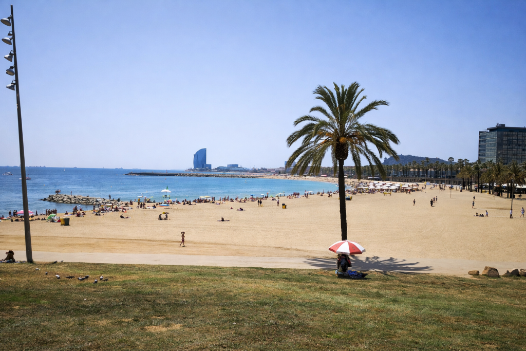 Wide view of a sandy Mediterranean city beach with a palm tree in the foreground, beachgoers along the shoreline and modern waterfront buildings under a clear blue sky.