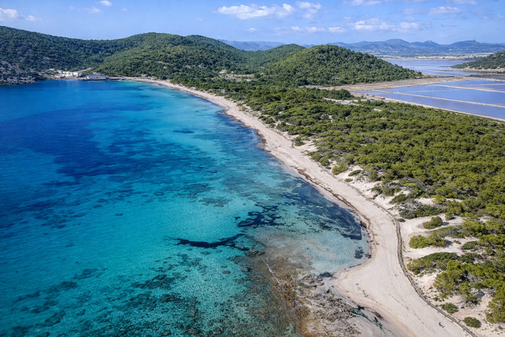 Aerial view of a sweeping sandy coastline with clear turquoise sea, pine-covered hills and salt lagoons stretching inland beneath a bright blue sky.